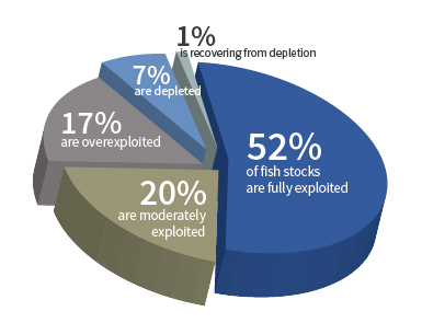 overfishing charts